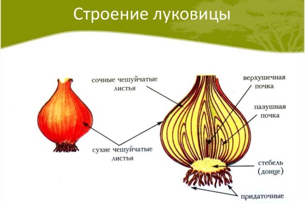 Кракен даркнет вход